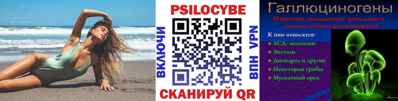 Купить закладки  Богородск  Псилоцибиновые грибы прущие грибы 