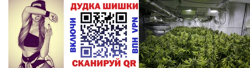 Бошки Шишки White Widow  Купить закладки  Богородск 